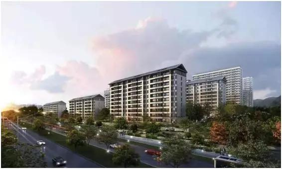 年轻购房者请注意，金茂来了四个爆款悦系产品