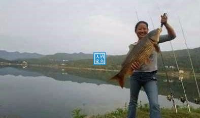 野生大湖钓鱼视频大全,深山老林水库野钓