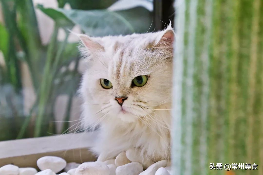 周末约会常州,常州温馨约会