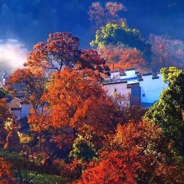 重阳游安徽，这几个登高处，今年美出了新高度