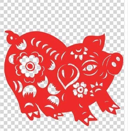 从丁亥到己亥—武昌水果湖中学六六届高三（1）班同学集会本命年