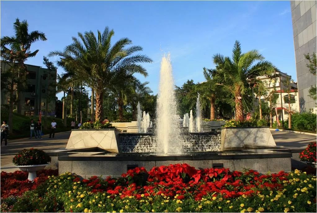 宀崡鑱岄櫌25鍛ㄥ勾鏍″簡,骞垮窞宀崡鑱岄櫌