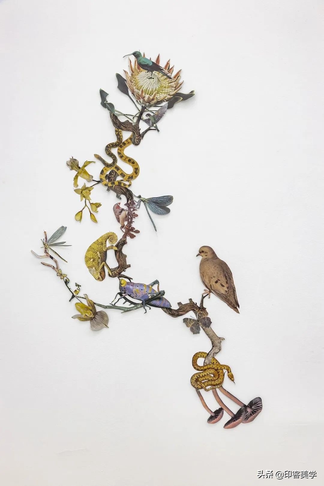 纸的艺术手工作品,惊艳的手工纸艺品