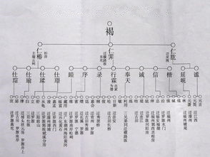 历史上真实族谱,历史遗留族谱