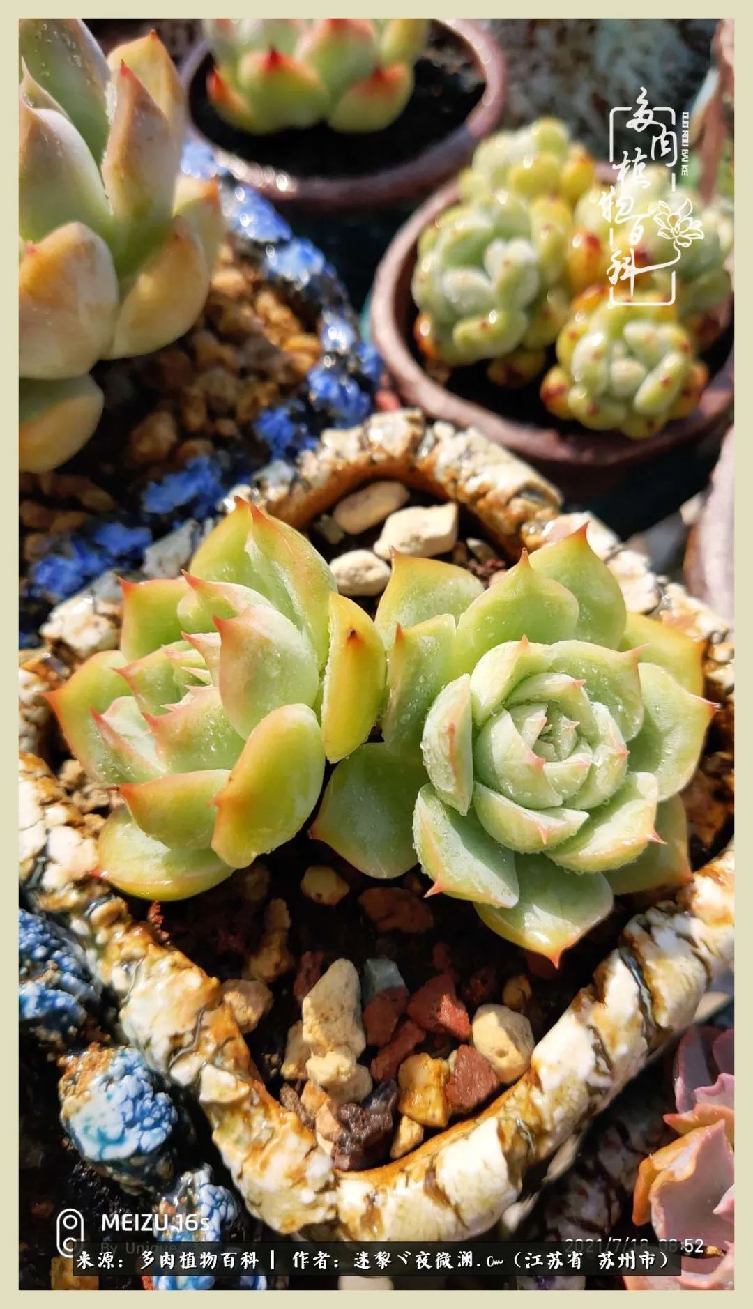 秋尽冬来岁月不居时节如流,岁月不居时节如流水