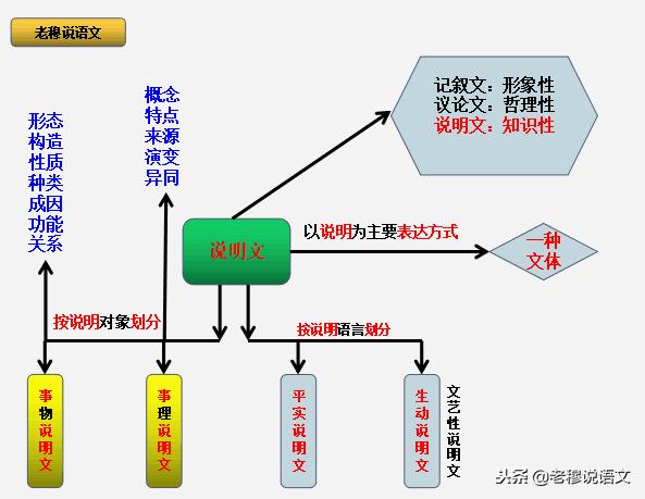 说明文阅读和现代文阅读,现代文阅读说明文的难点