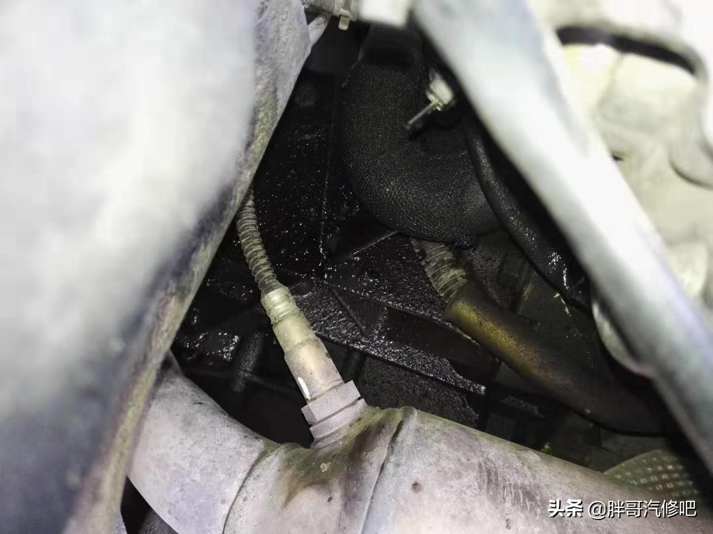 奥迪更换碳罐电磁阀要不要匹配,奥迪发动机漏油到火花塞