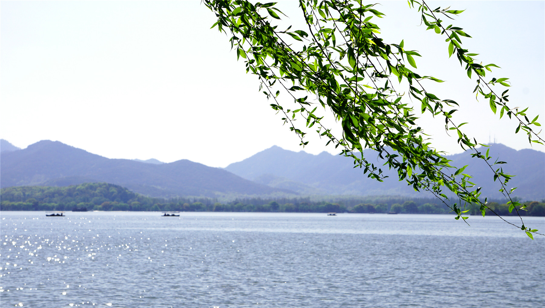 杭州西湖游玩攻略大全,杭州西湖最佳游玩攻略