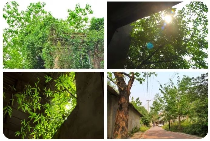 成都打卡的建筑 (成都网红建筑打卡)