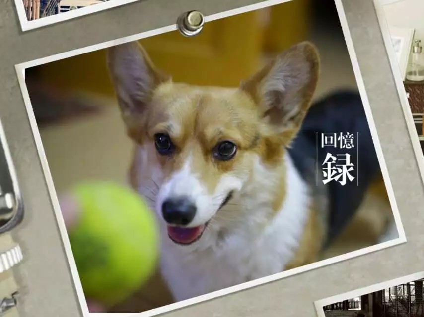 男士护手霜防干裂脱皮不油腻,男士防晒霜推荐清爽不油腻