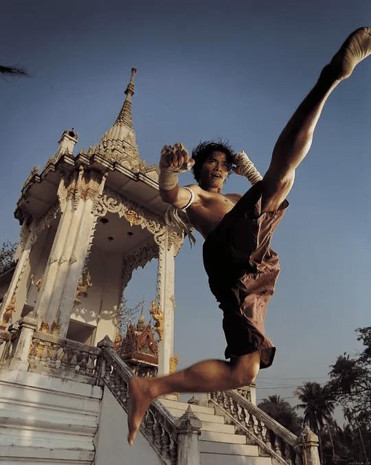 成龙甄子丹吴京李连杰哪个最厉害,成龙甄子丹李连杰吴京洪金宝