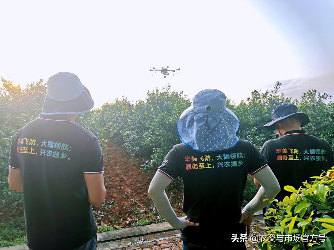 果树发展趋势和前景,我国果树的发展现状及趋势