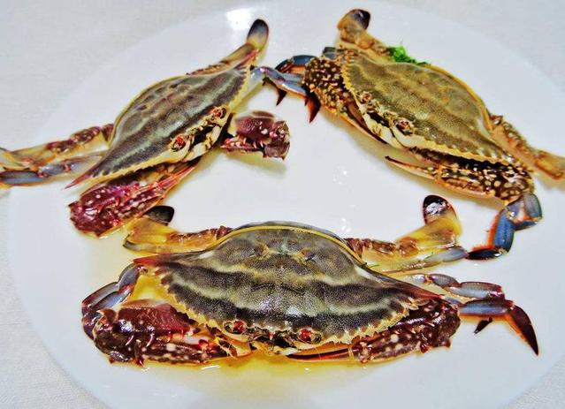 如何吃梭子蟹才是正确的,吃梭子蟹最佳吃法