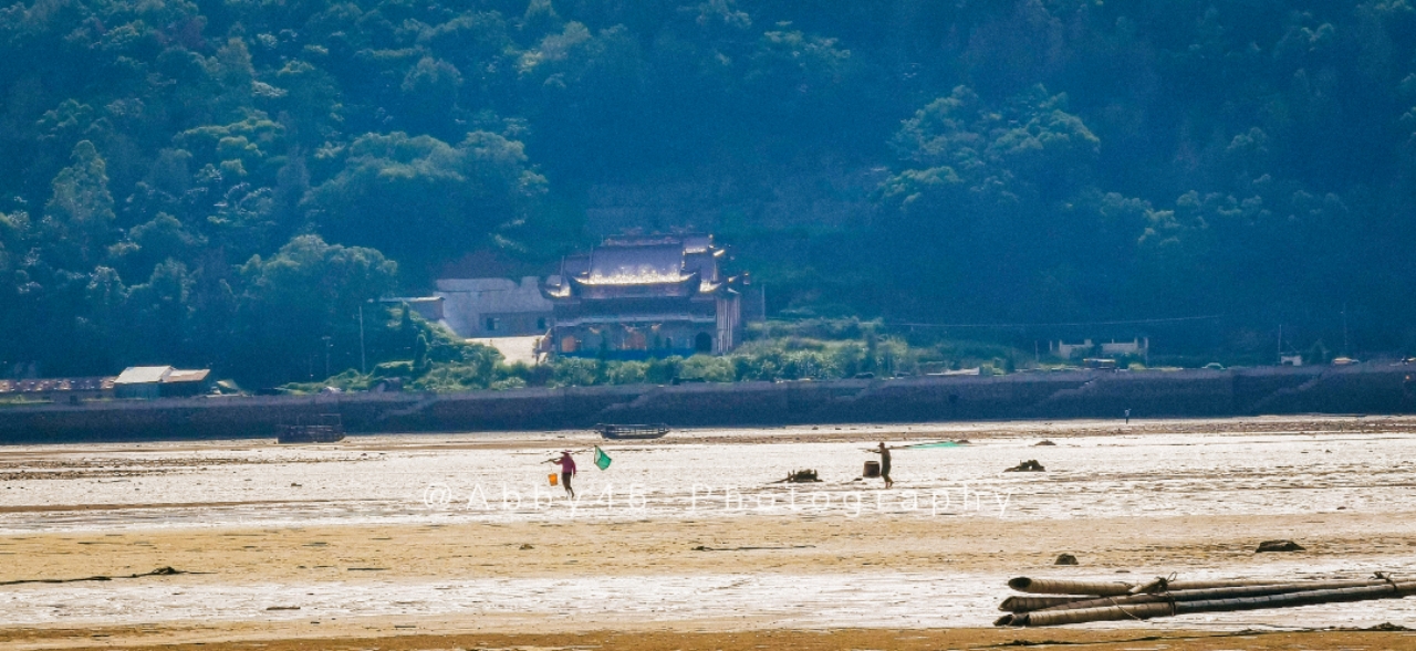 如果只有一天去浙江哪里玩,如果只有一天时间去哪玩