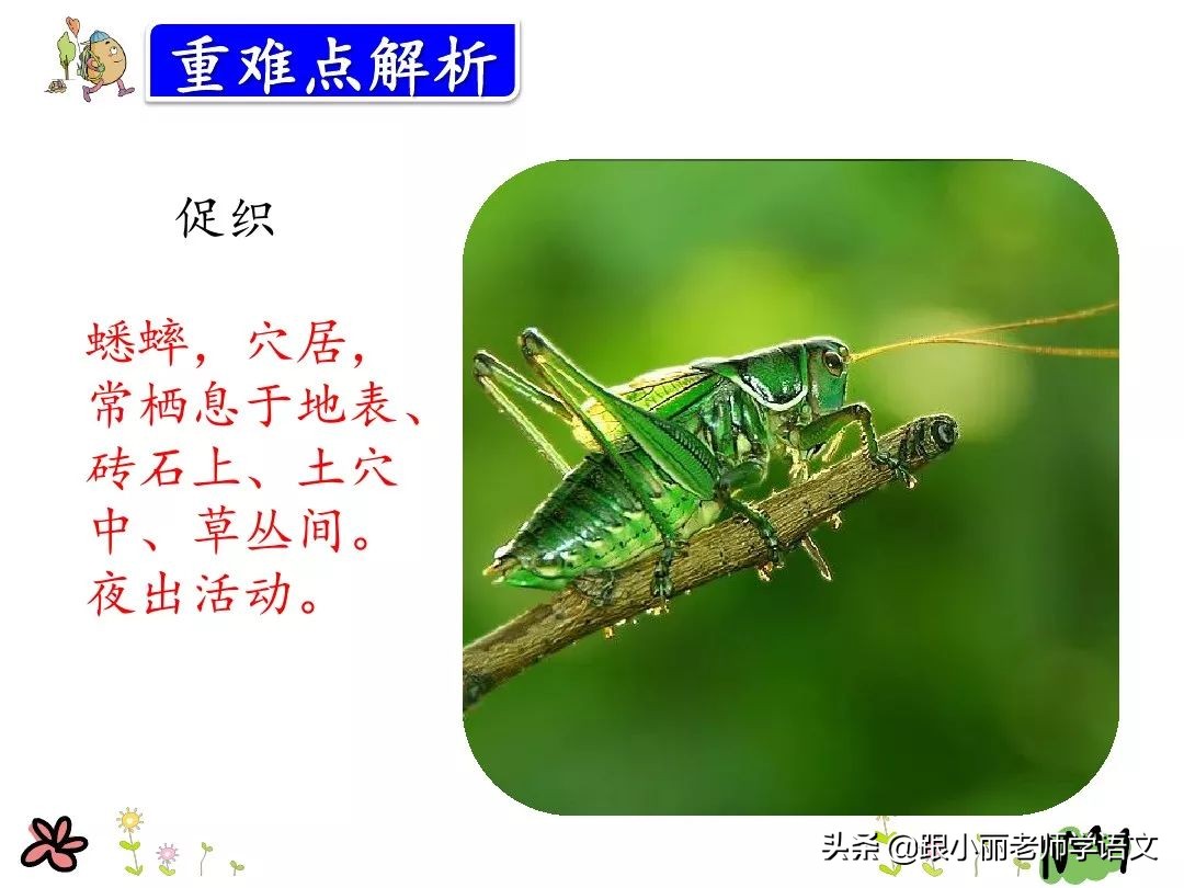 统编版三年级语文上册古诗,三年级上册语文同步指导古诗三首