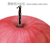 ps绘制素描苹果教程,photoshop苹果logo制作