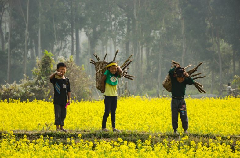 王源野蛮生长,王源身体状况如何