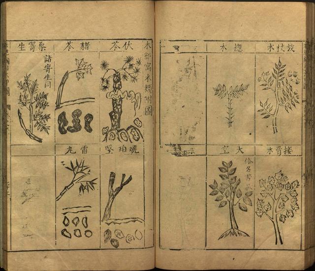 李时珍本草纲目书目录,李时珍本草纲目下卷