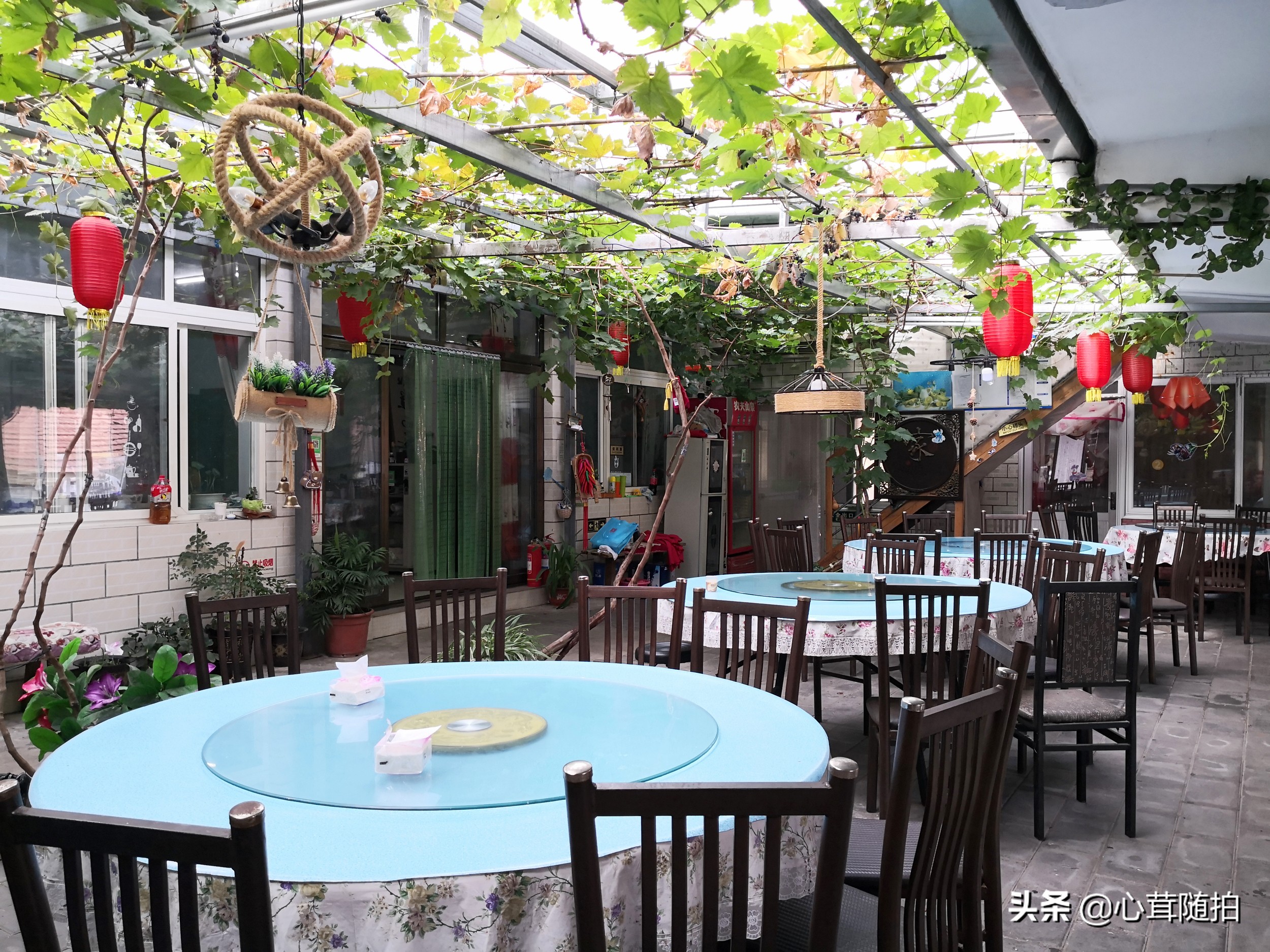 自驾白河湾,白河湾自然风景区自驾