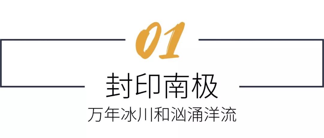 南极的神奇动物企鹅,南极生物图鉴