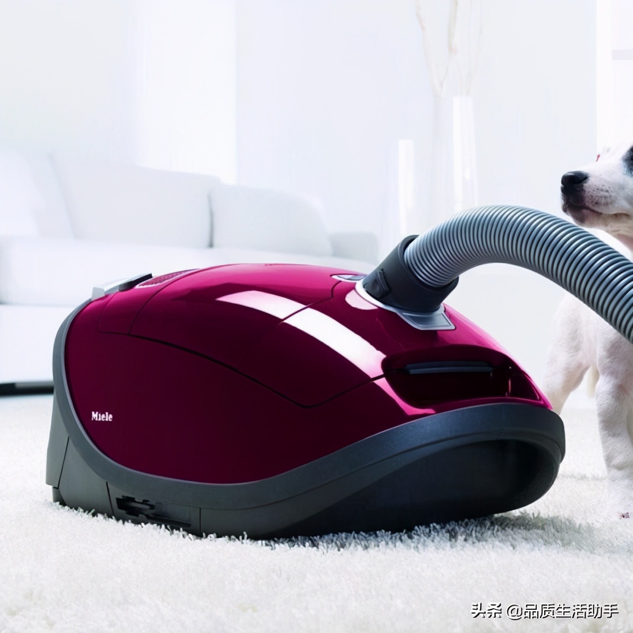 吸尘器9件套有什么用处,吸尘器用处比你想象的大