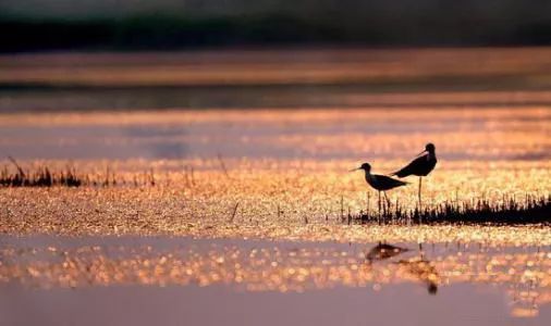 渭南大荔哪里好玩的地方,渭南大荔周边环境优美的地方