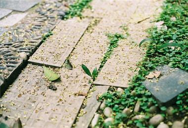 结婚纪念日唯美短句英文,结婚纪念日简短真实的句子英文