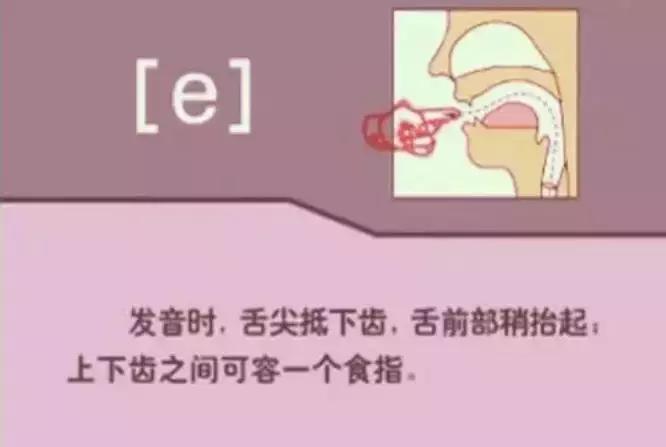 48个国际音标发音清晰口型示范,48个国际英语音标发音表及口型