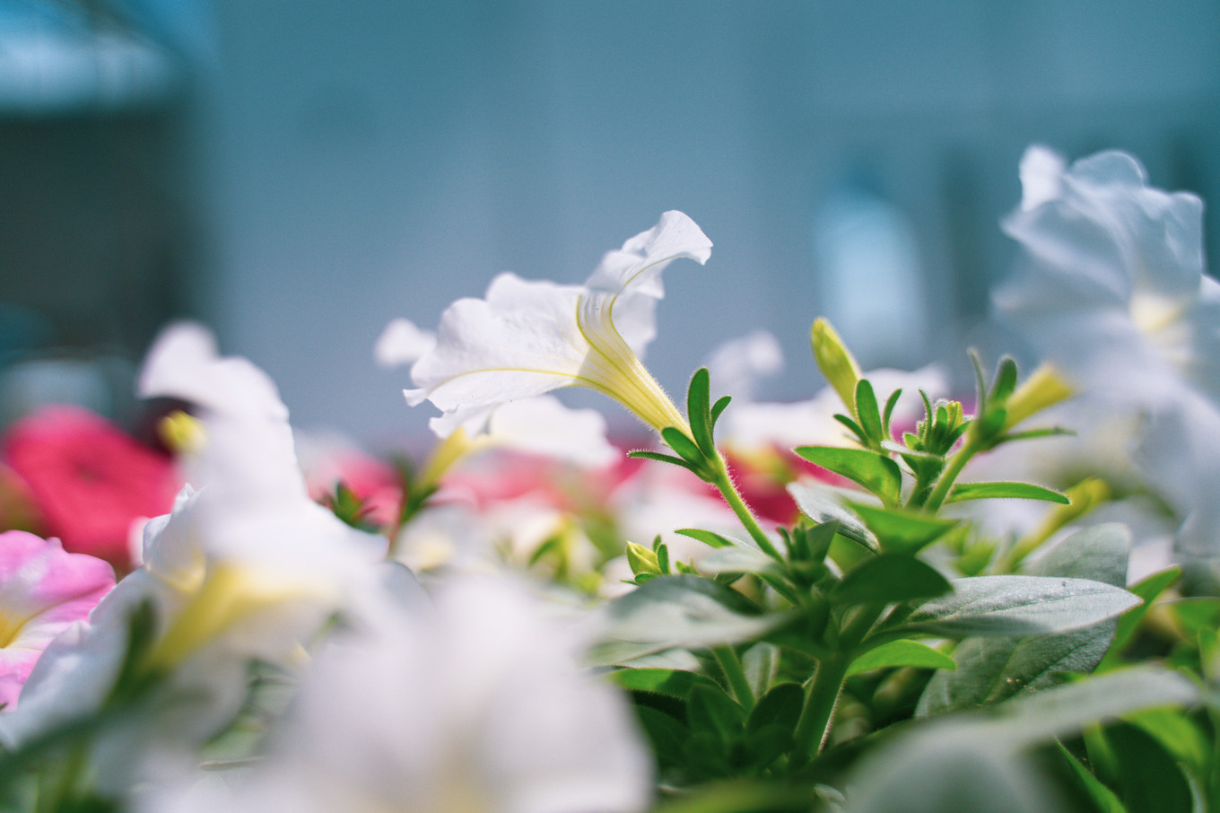 不仅仅是皮革，海清潮静——海宁