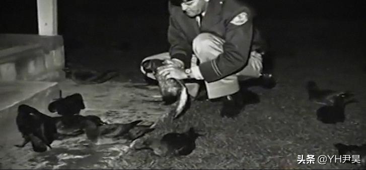 1998年美国海岸大批生物突发异样，专家共同侦查，真凶竟是天气