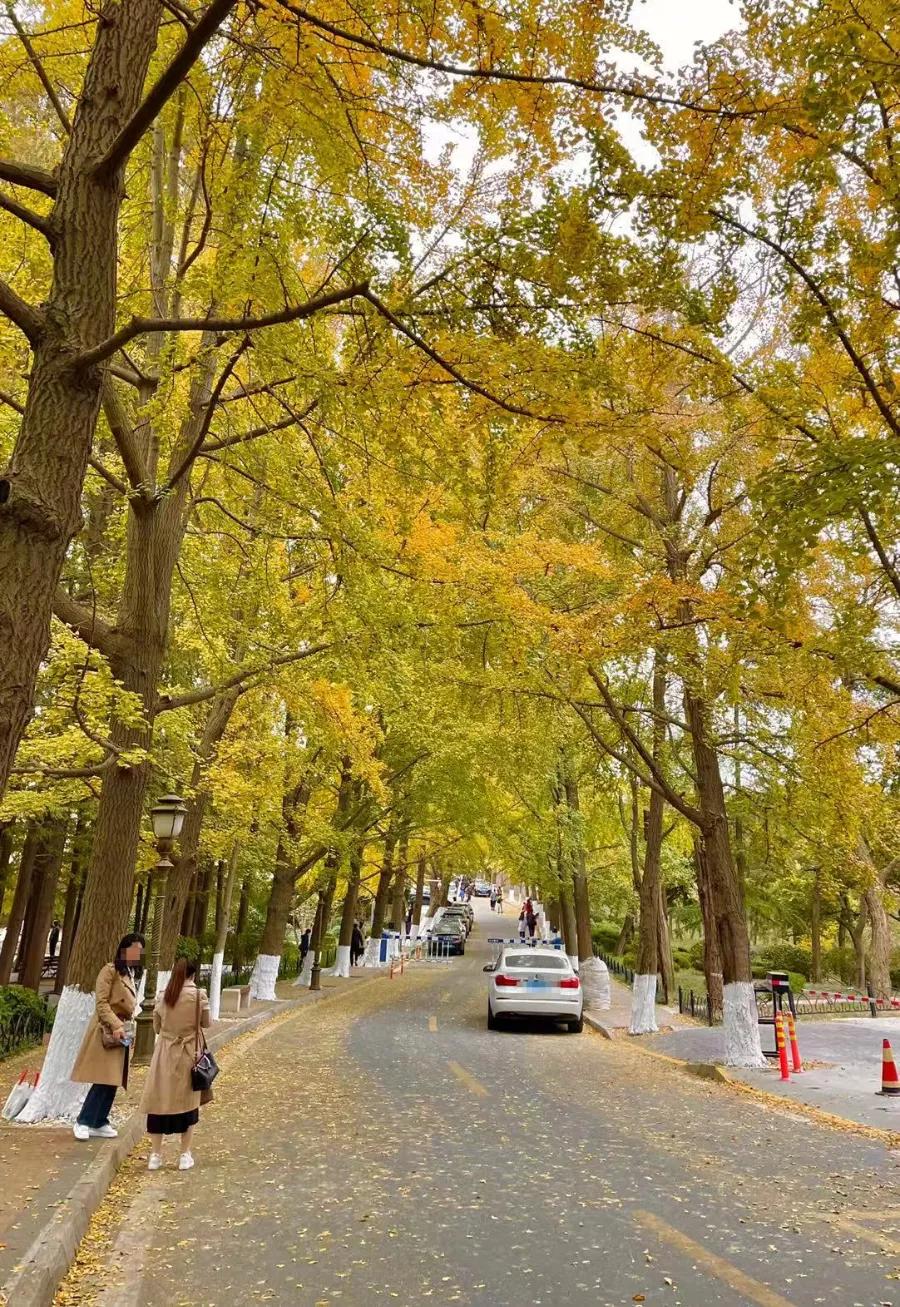 又一条最美自驾线路,又一条绝美进藏自驾公路