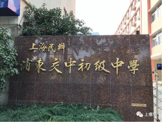 上海10所最鸡血初中,上海十大黑马