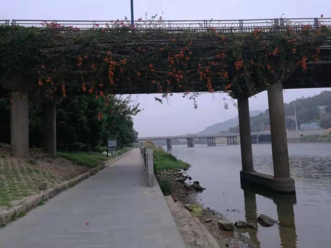 启程作者,启程歌曲作曲者是谁