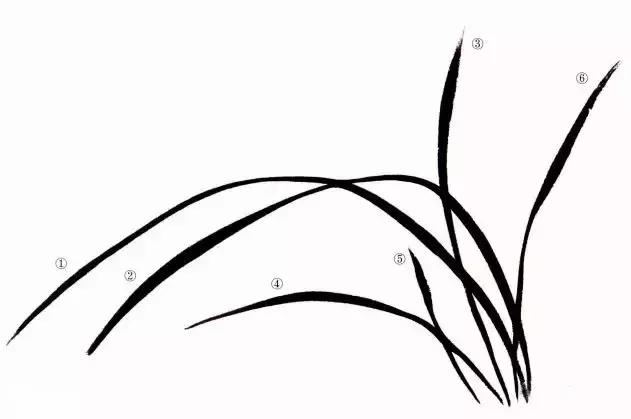 徐湛国画兰花的画法,徐湛国画兰花的画法视频教学