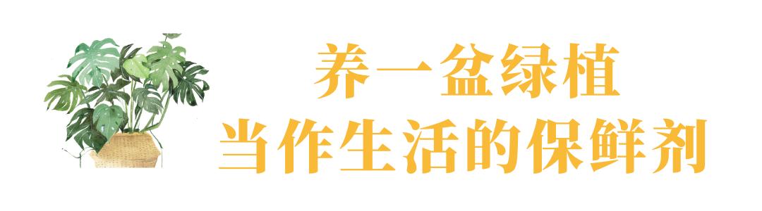 乌鲁木齐花市在哪里光明路附近,乌鲁木齐的花市在哪里
