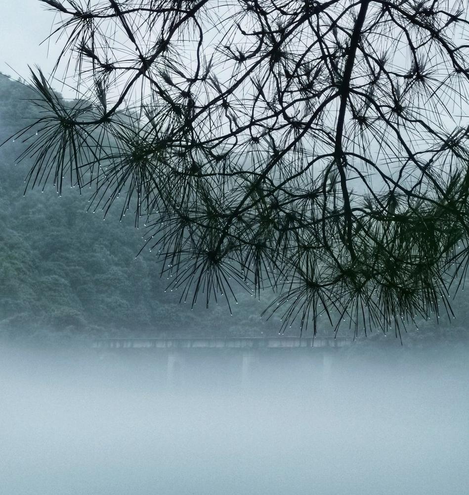 全国甲卷作文2022满分作文,2022年高考满分优秀作文