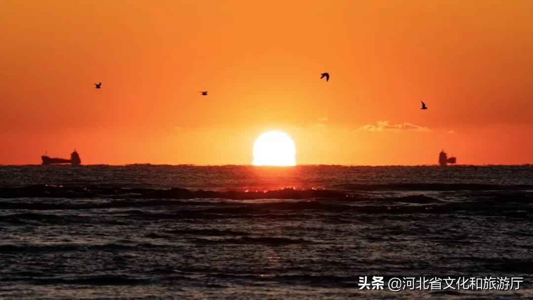 爱家乡游河北发现身边的美|披着初夏的清风，踏着热闹的浪，在五月的秦皇岛玩出新花样~