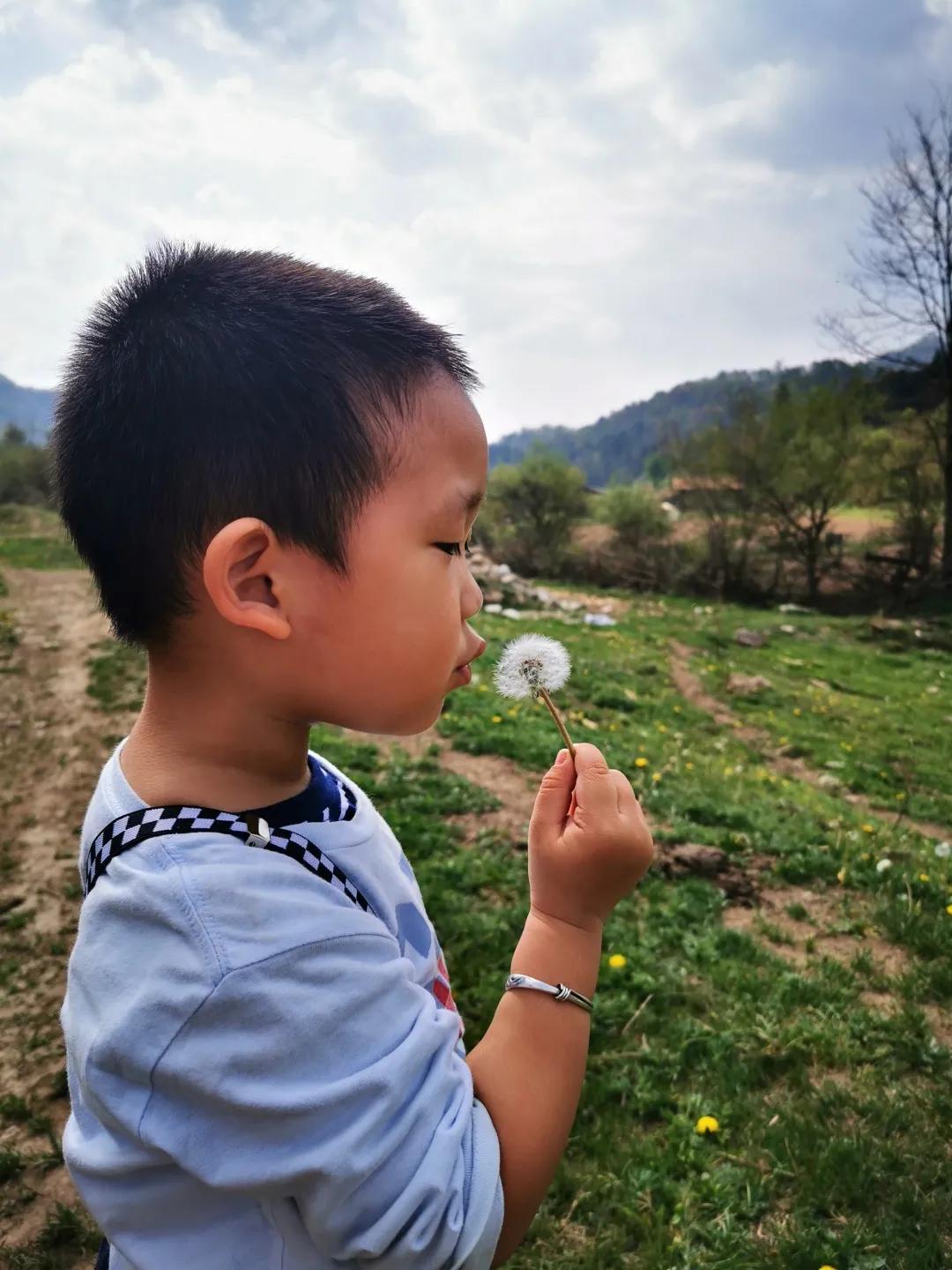 陕西省天然空调城在哪里,陕西最凉快的几个县城