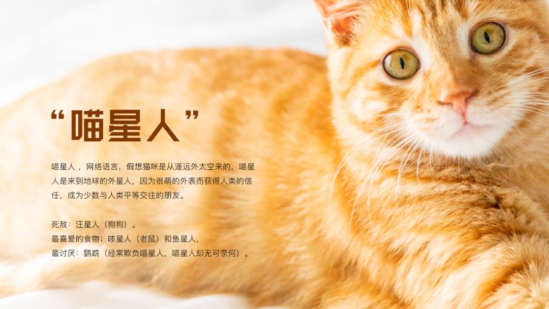 如何用ppt进行裁剪,ppt图片裁剪工具