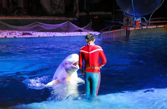 大连必玩的十大景点,大连打卡必去网红景点