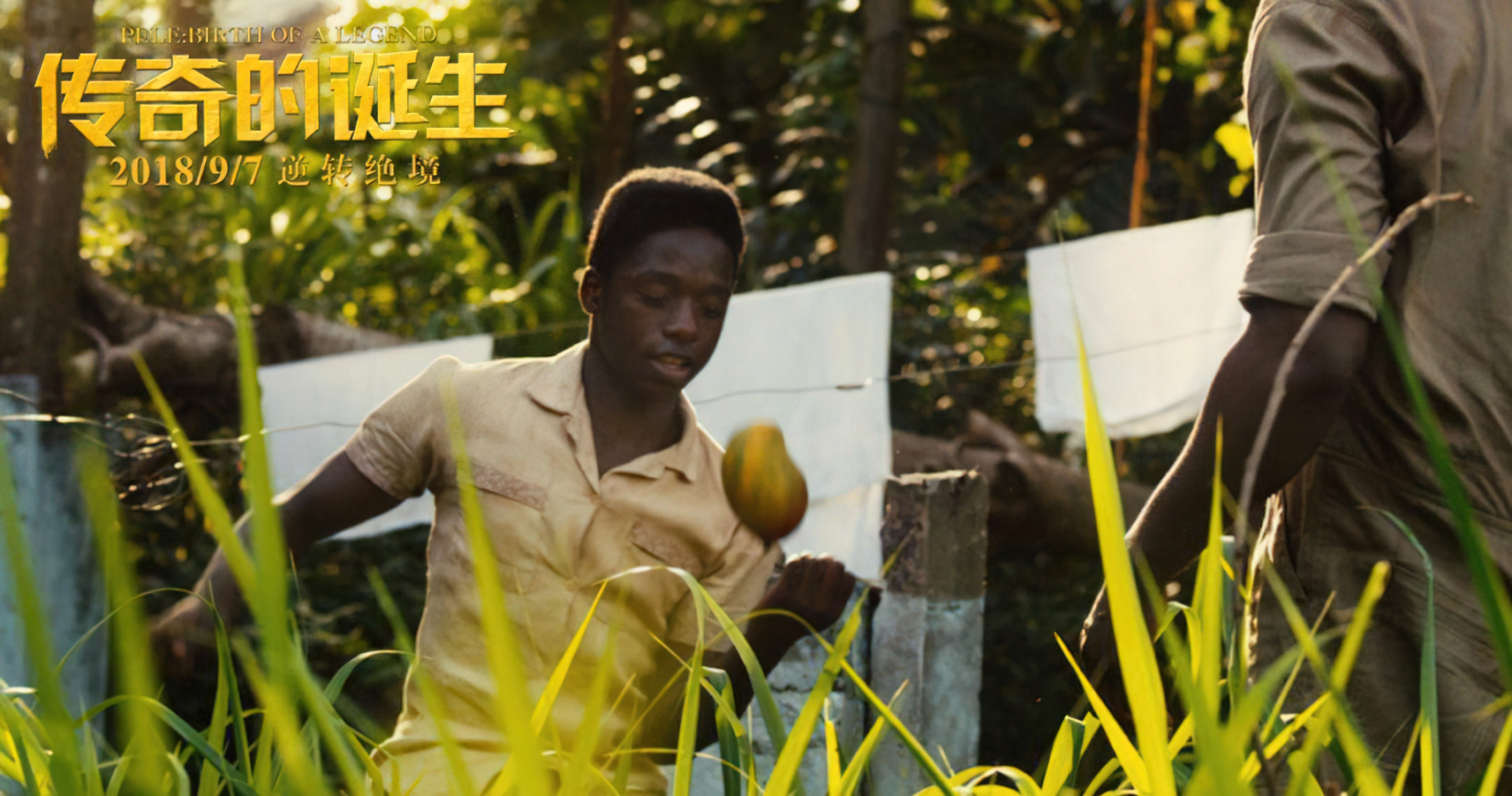 巴西球王贝利的传奇人生,球王贝利是巴西的吗