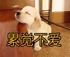 夏可叔叔扒科颜氏,夏可叔叔扒面霜