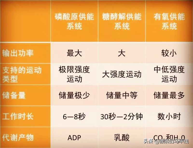 如何提高自己的跑的速度,跑前如何准备可以跑得最快