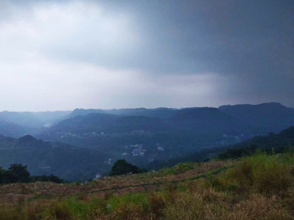 甘当孩子们向上攀登的阶梯