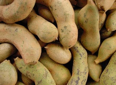 全球10种奇异水果，神秘果不知打动多少吃货的心