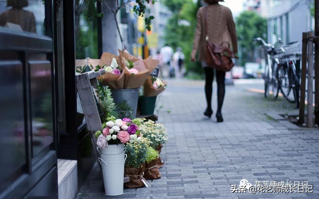 花店护理花小技巧,花店花材养护及资料整顿