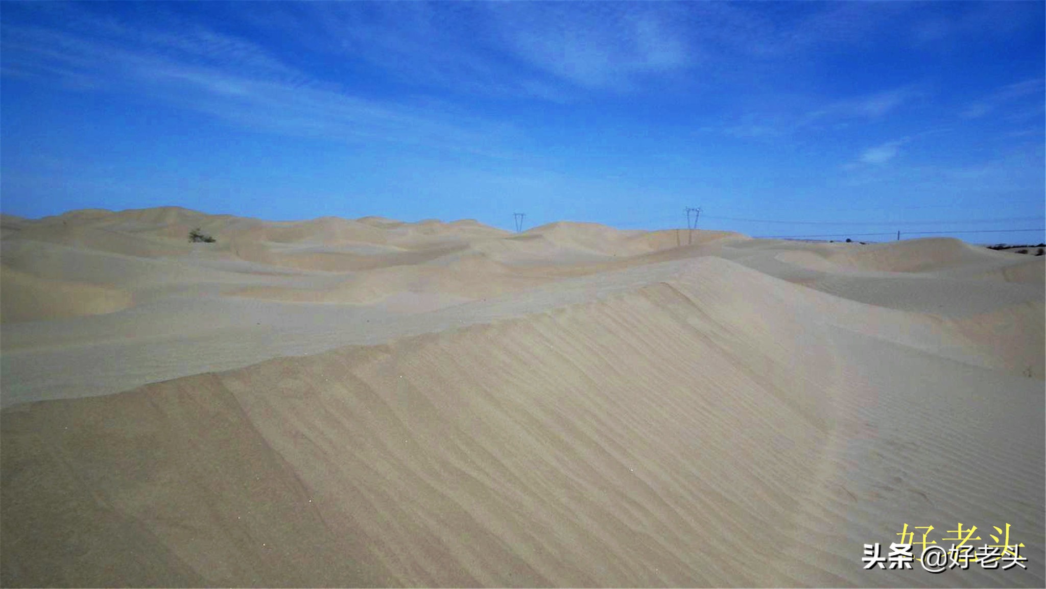 库尔勒轮台胡杨林风景区,胡杨林景区轮台