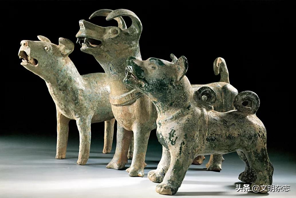 日积月累十二生肖解读,十二生肖四季常青的生肖