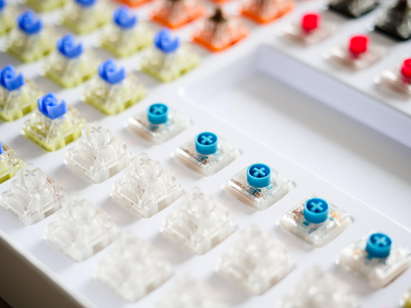 ttc金粉轴为什么比金红轴更受欢迎,ttc金粉轴为啥那么贵