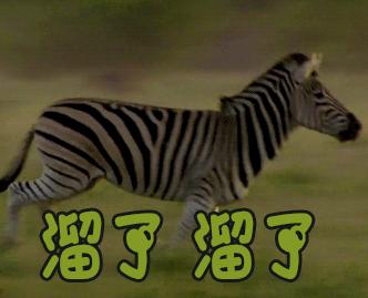 各地骂人的方言,各地骂人方言大集合